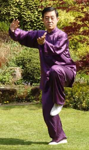 Lao Jia Yi Lu par Maître Chen Zeng Lei